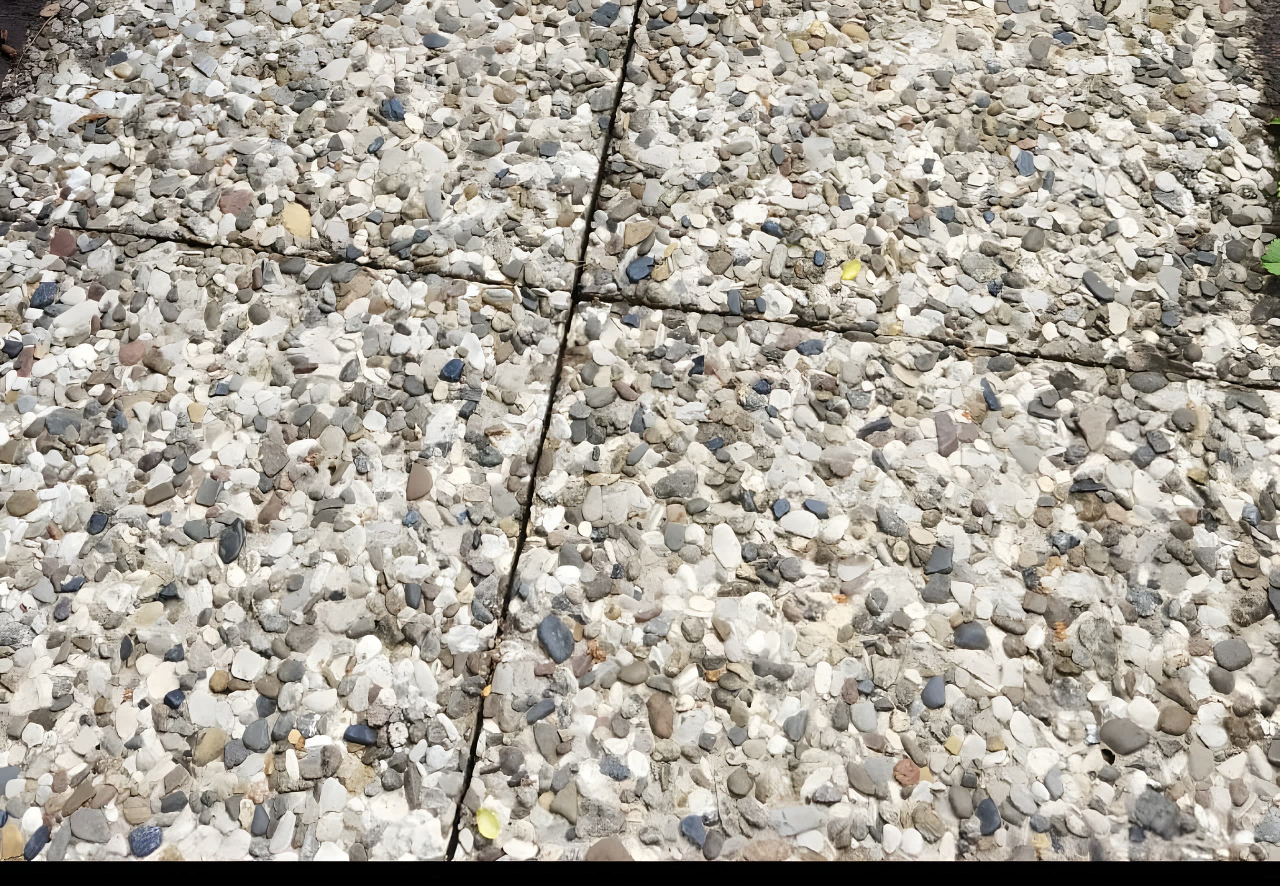 Gehwegplatten gereinigt – Nachher
